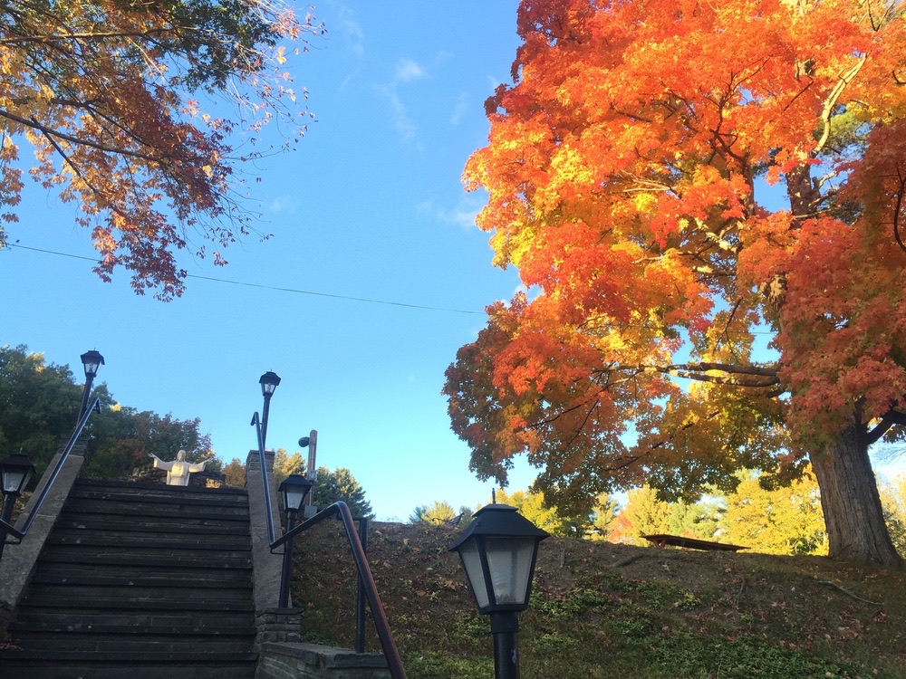 Stone steps and lamp posts on the shrine grounds beneath bright orange maples.